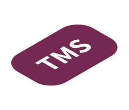 TMS