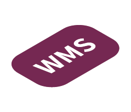 WMS